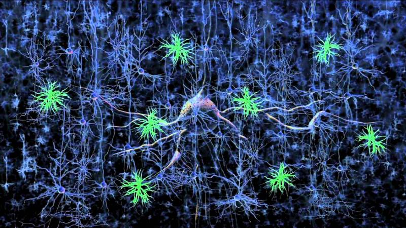 Marcodevisser.com_Optogenetics - controlling the brain with light_neurons